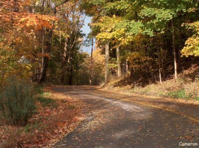 Fall - 08