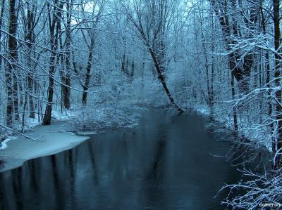 Winter - 009