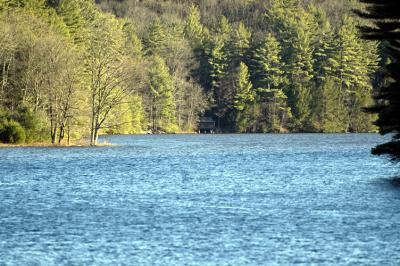 _DSC8688.jpg