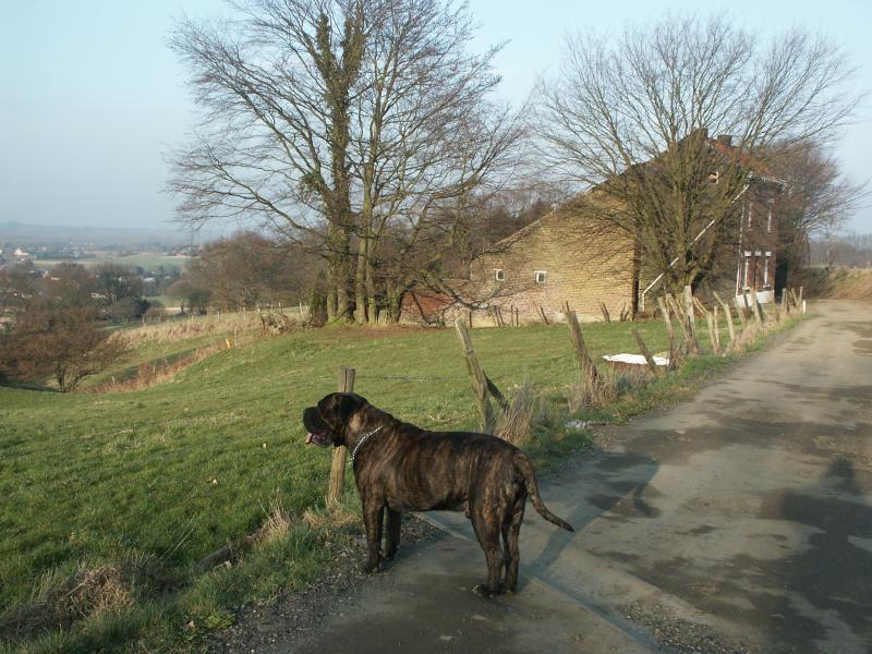 PICT0034.JPG