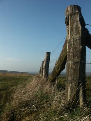 PICT0018.JPG