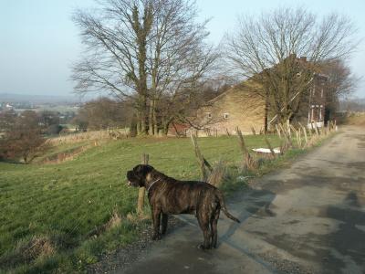 PICT0034.JPG