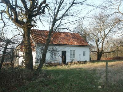 PICT0036.JPG