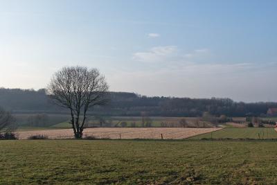 wingevallei