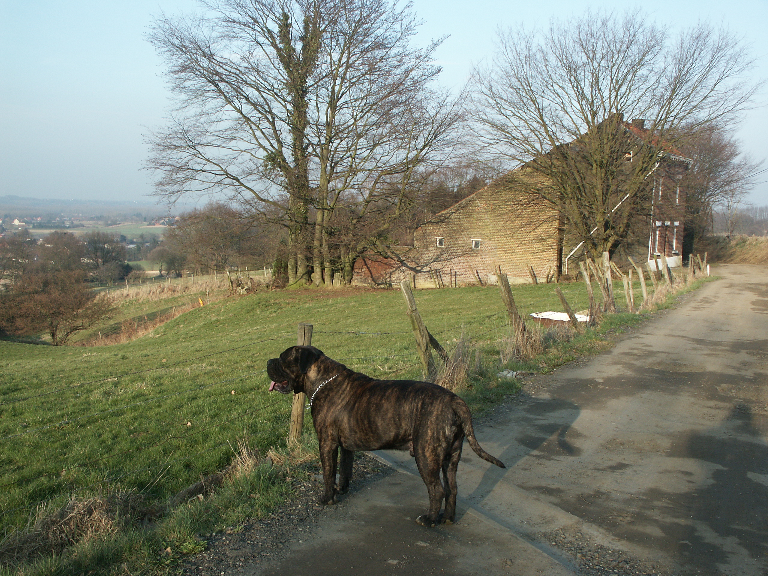PICT0034.JPG