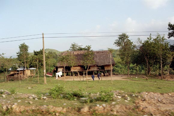 DMZ007.jpg