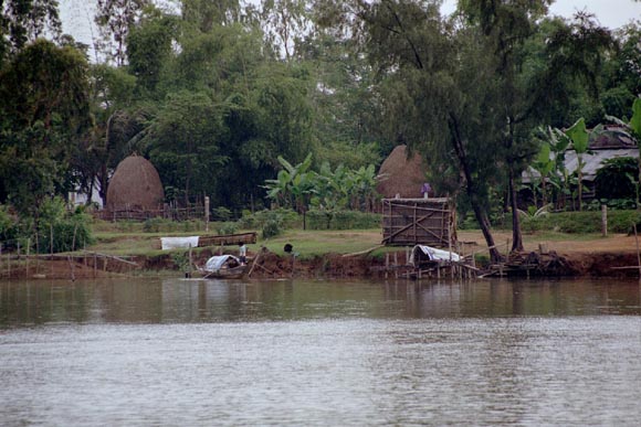 DMZ017.jpg