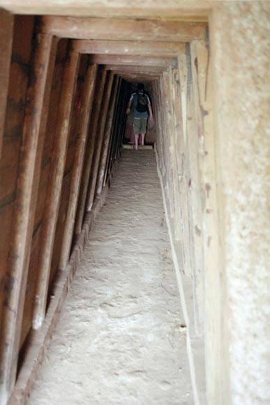 DMZ021.jpg