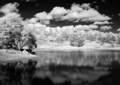 Flying O Ranch Winter Pond