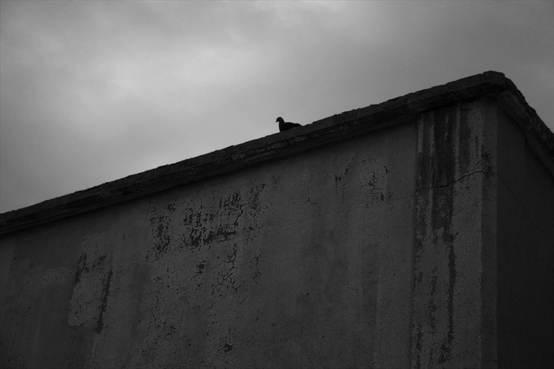 On My Own*  <br> by PorkPieHat