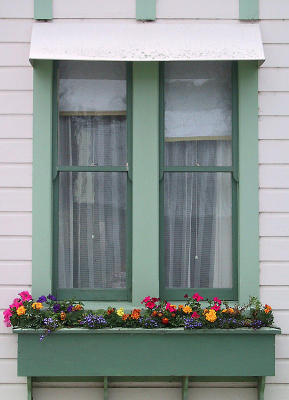 Green Window