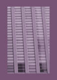 Lilac lines by Rado