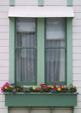 Green Window