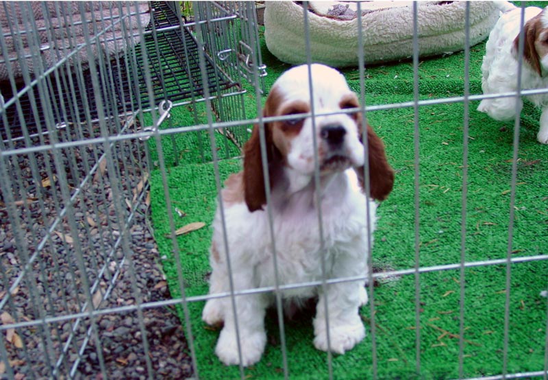 First Separation by Debbi in California