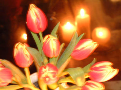 flower/candles