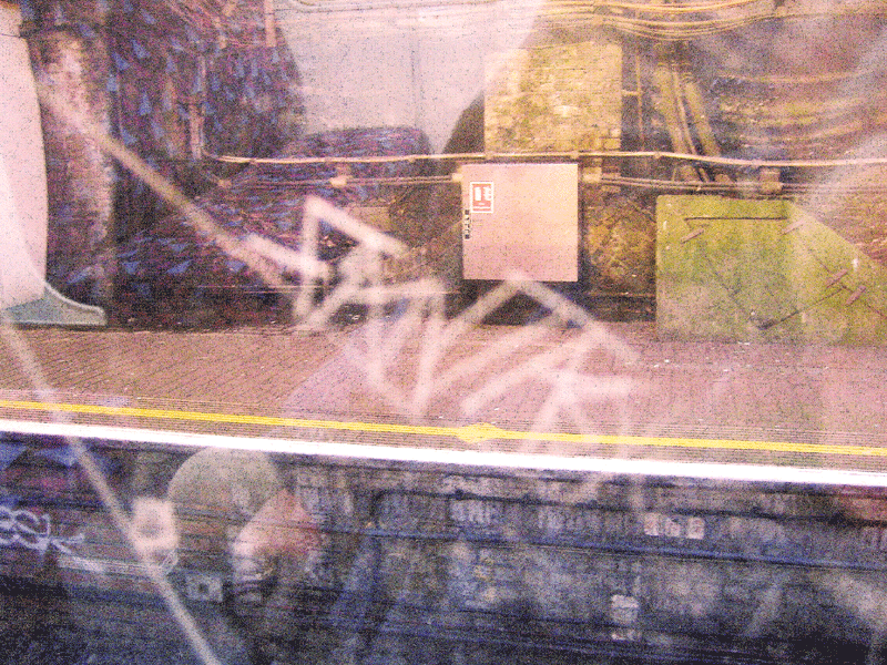 WINDOW