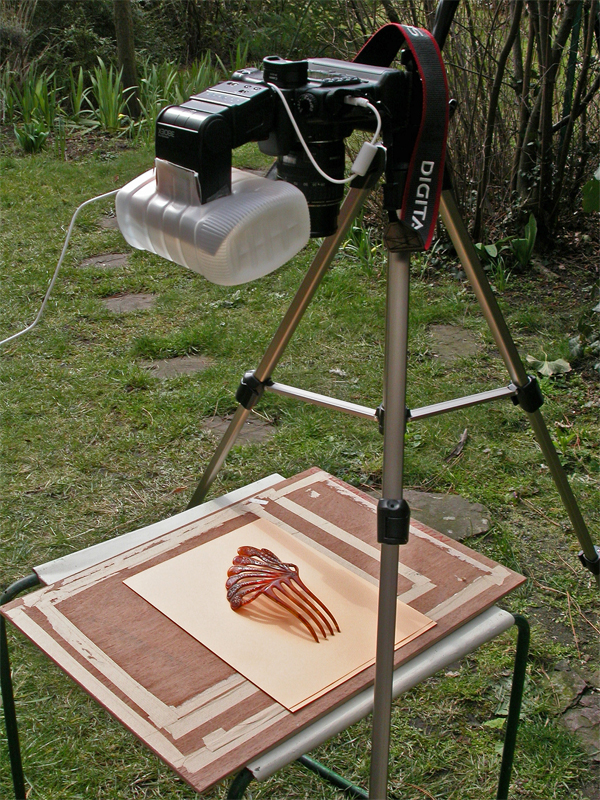 Making of des prises de vues...