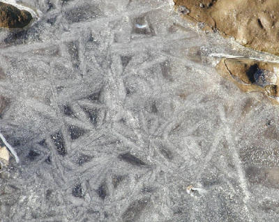 ice frost ohio puddle jan 02