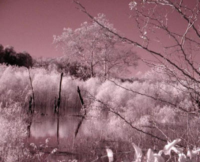 cataract state park