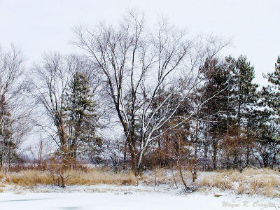 winter dam.jpg