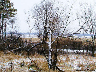 Winter from the dam.jpg