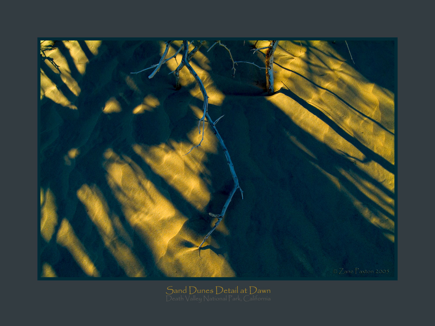 Sand Dunes Detail at Dawn