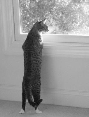 Stretch