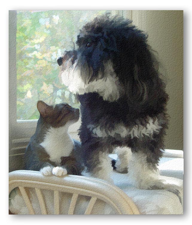 Morning Togetherness