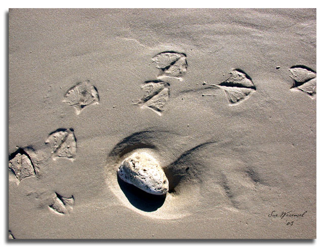 Making Tracks