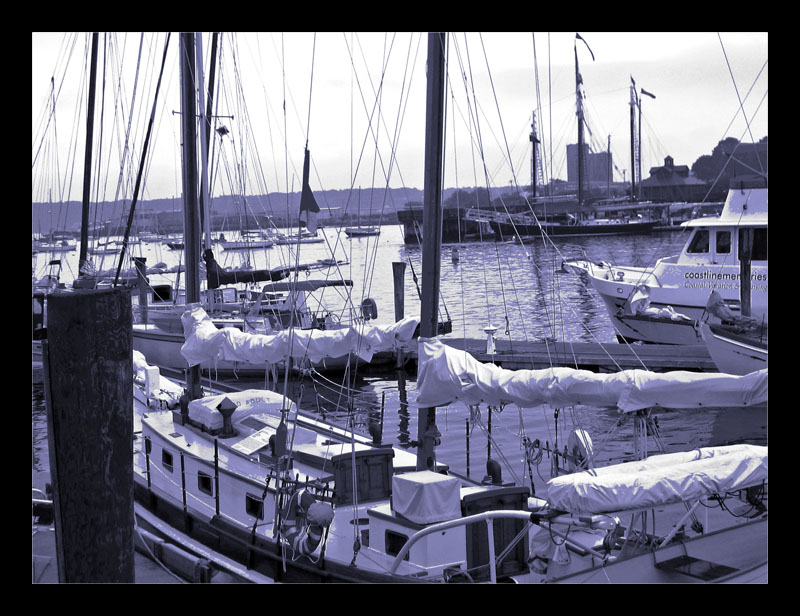 Black and White Conversion