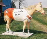 Hooters Horse
