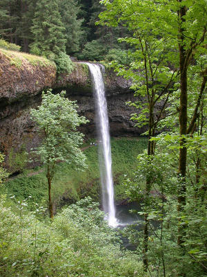 Silver Falls State Park