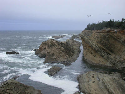 Oregon Coast near Charleston