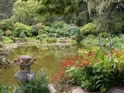 Japanese Garden