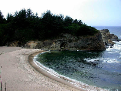Cape Arago State Park