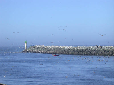 Brookings harbor inlet