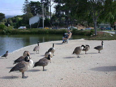 Just ducky