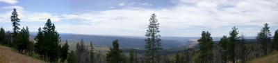 Blue Mountains panorama