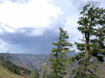 Hells Canyon overlook (2x2 panorama)