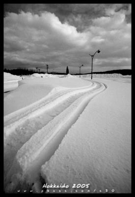 Hokkaido Black & White