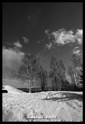 Hokkaido Black & White