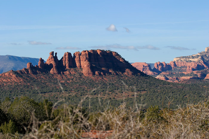 The Cockscomb