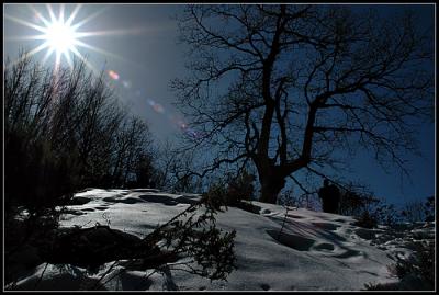 Sol de invierno