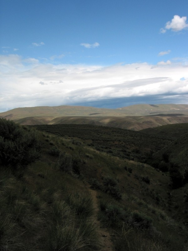 Distant Manastash Ridges