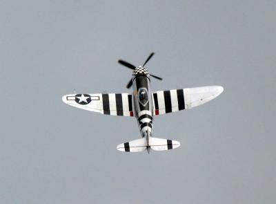 u5/fleeting_images/medium/41010533.P47_3002_web.jpg