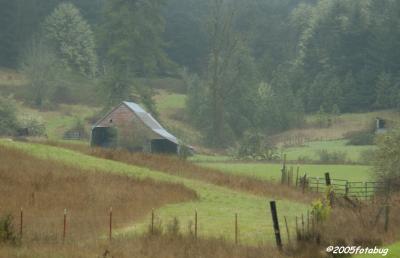 Hillside barn on a rainy day- different framing