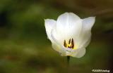 DX2005-03-19_120.jpg
