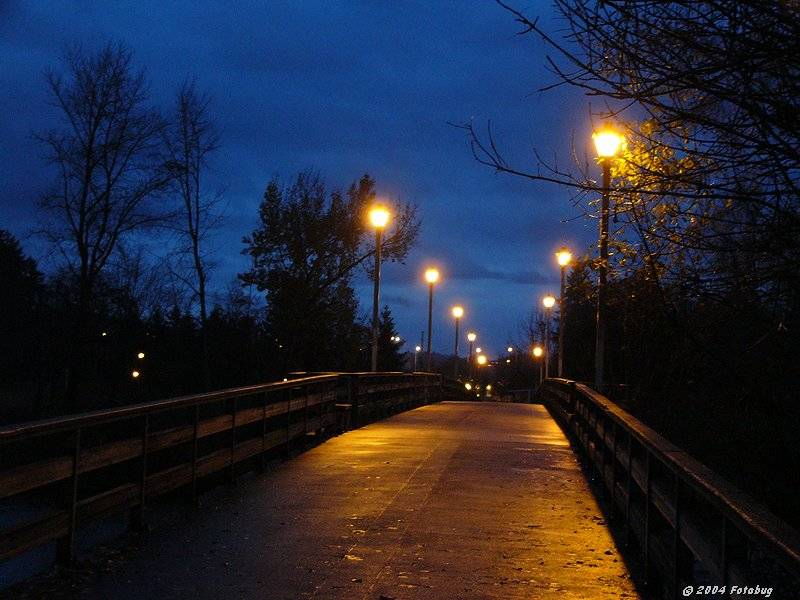 Lonely bridge