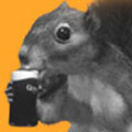u5/fourfarthings/upload/37077882.120x120.guinness_squirrel.jpg