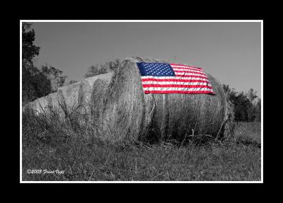 u5/frankvigil/medium/22341854.OldGloryDraftBlackandWhite_filtered.jpg